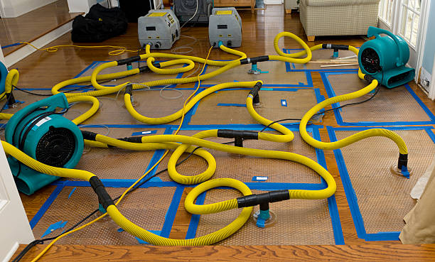 Professional Storm Water Damage Restoration technician working in Roscoe, IL